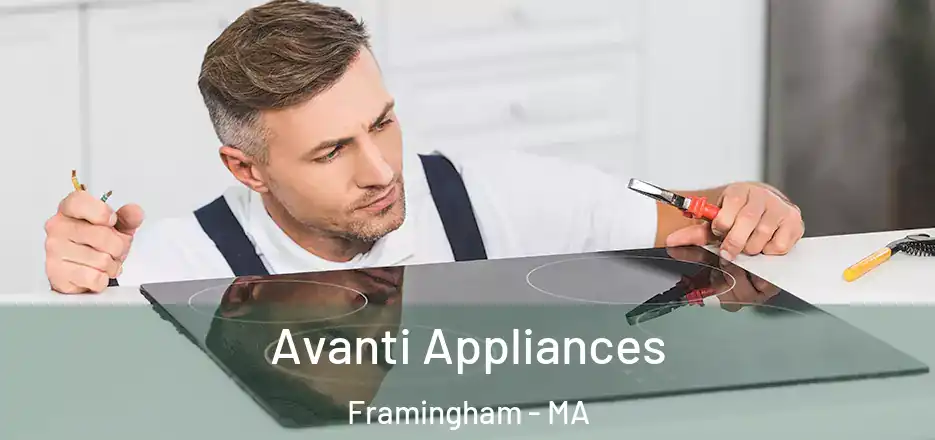  Avanti Appliances Framingham - MA