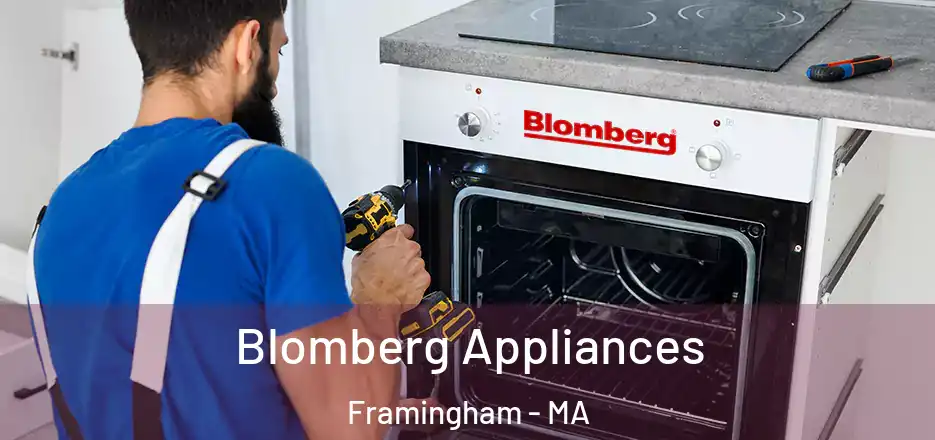 Blomberg Appliances Framingham - MA