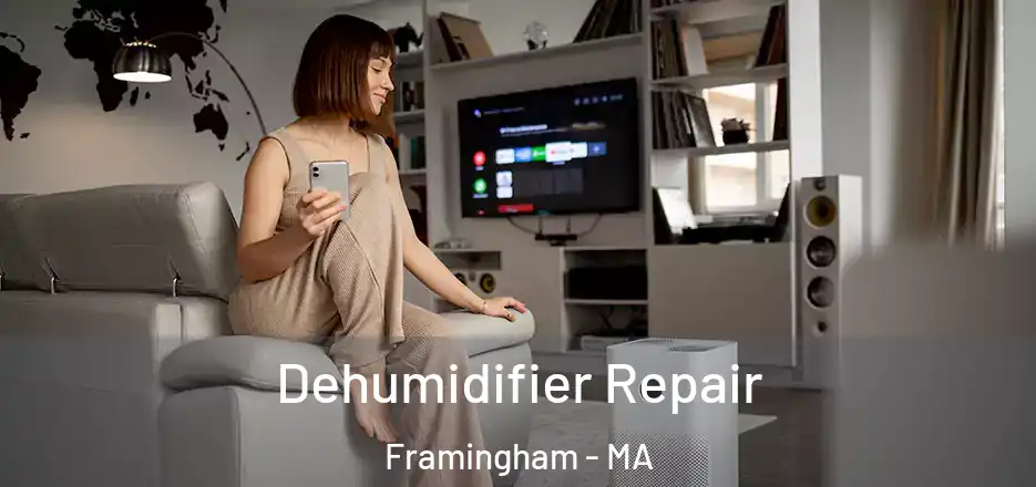 Dehumidifier Repair Framingham - MA