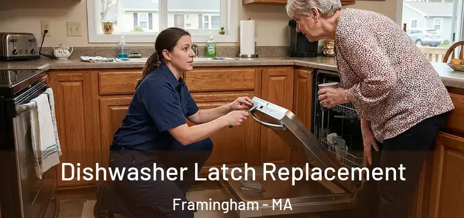  Dishwasher Latch Replacement Framingham - MA