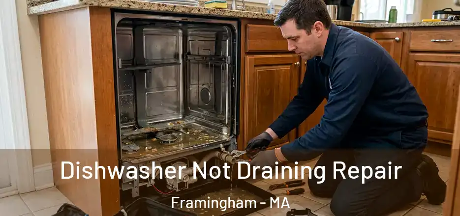 Dishwasher Not Draining Repair Framingham - MA