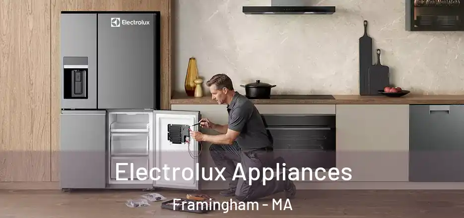  Electrolux Appliances Framingham - MA