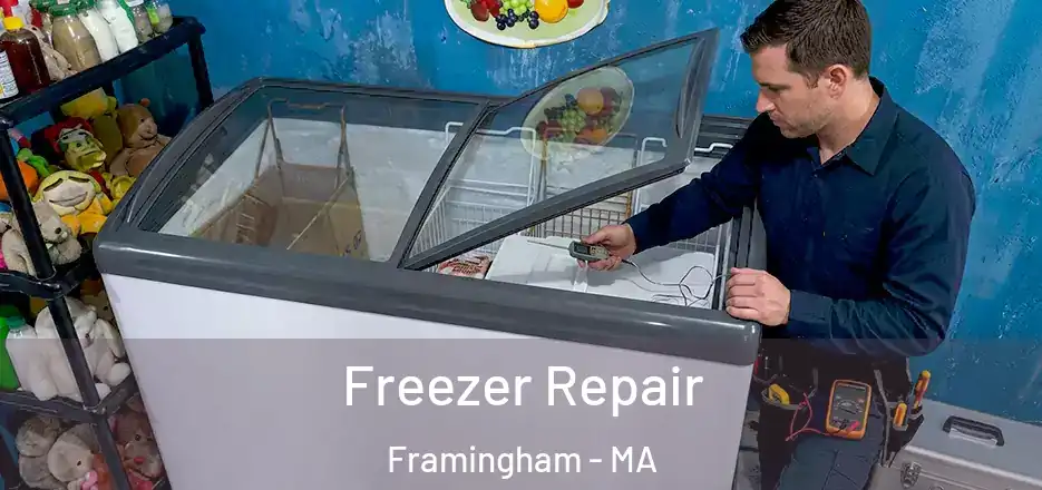 Freezer Repair Framingham - MA