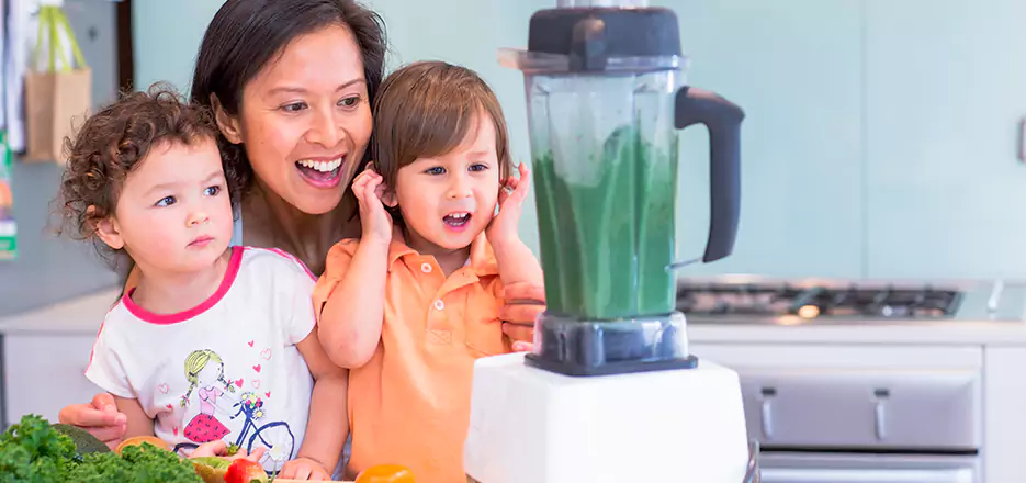 Juicer and Mixer Blender Repair in Framingham