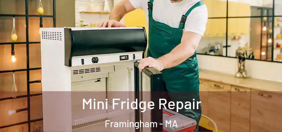 Mini Fridge Repair Framingham - MA